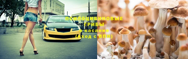 СК Волосово