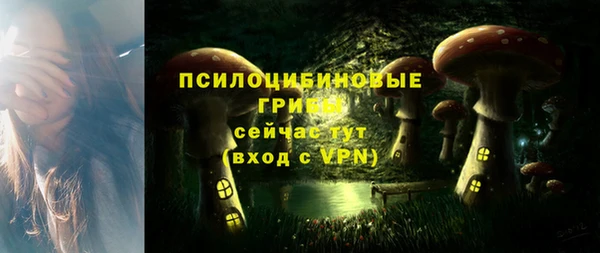 СК Волосово