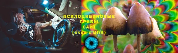 СК Волосово