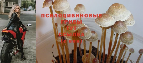 Альфа ПВП Володарск