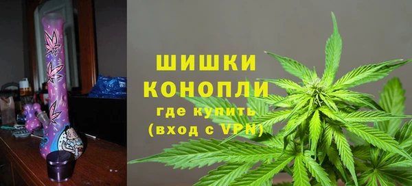 СК Волосово