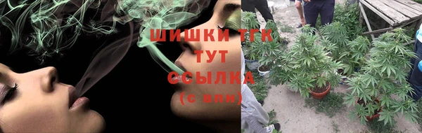 СК Волосово